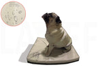 Cama impermeable para mascota 50 x 67 cm