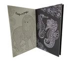 Combo x2 libros mágicos de raspar