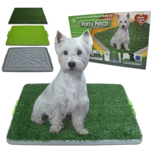 Baño sanitario de césped para perros