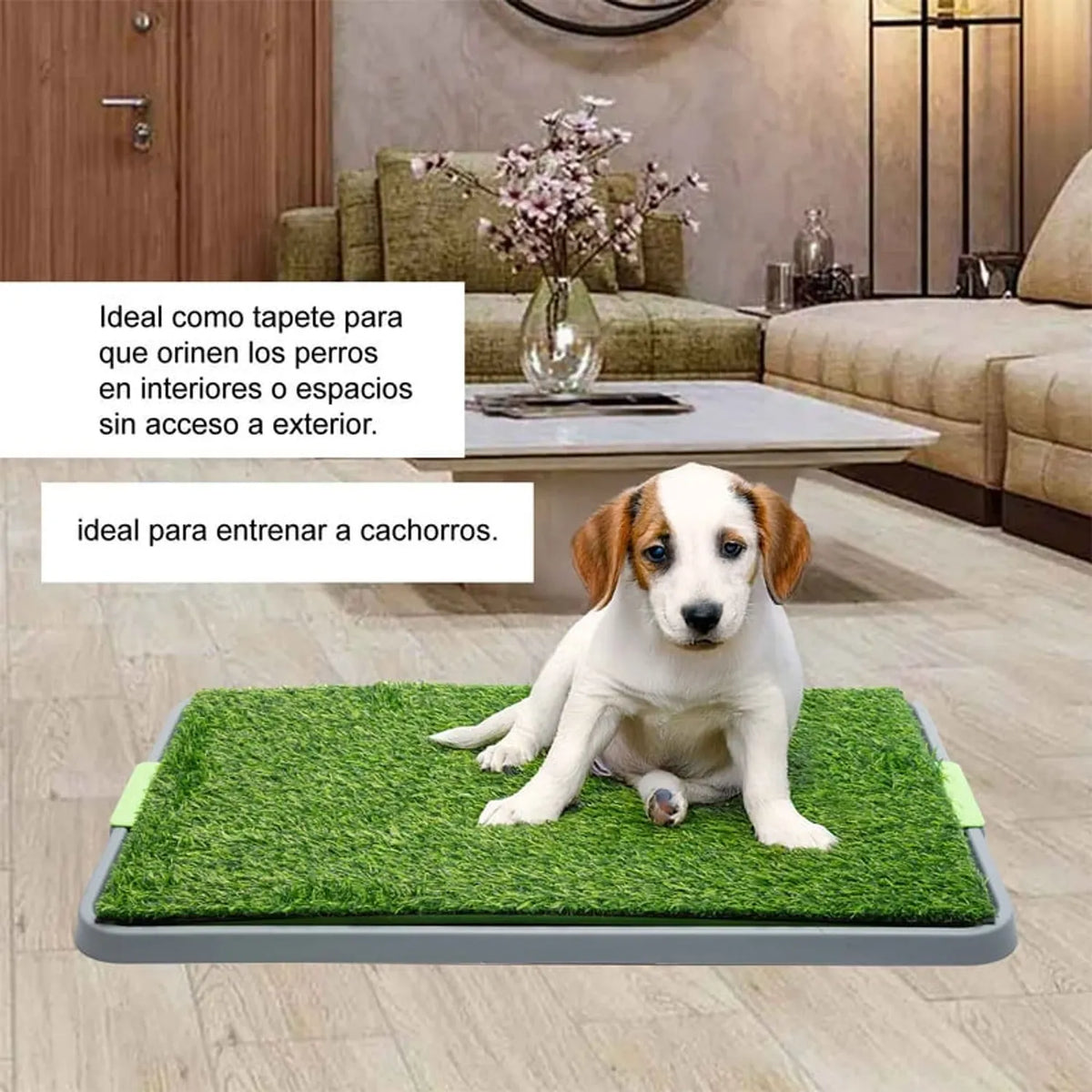 Baño sanitario de césped para perros