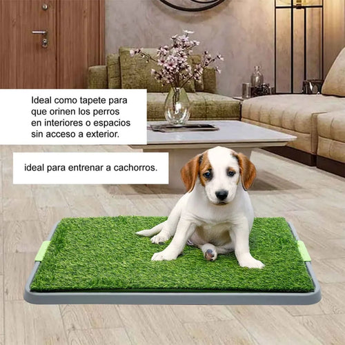 Baño sanitario de césped para perros